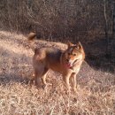 정돌이네 이미지