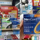 1898광장약국 이미지