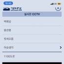 덴드리 이미지