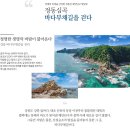 9월 정기산행 [정동진 부채길] 이미지