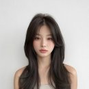 브이엘