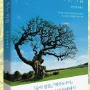 해인책숲길