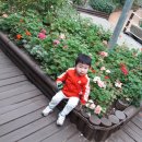 일동수목원 이미지