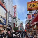 하치 | 오사카 도톤보리 타코야키 쥬하치방 솔직후기