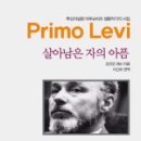 레비오산 네이버블로그