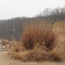 초막골캠핑장(관리소) 이미지