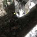 하늘바다약국 이미지