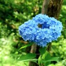 영광 매간당 고택 이미지