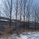 용인-모현-모현센터-14 네이버블로그