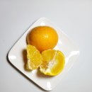 선돌농장 이미지