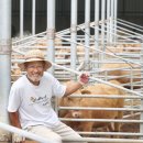 풀로만목장 이미지