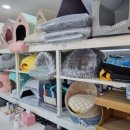 야옹아 멍멍해봐(에코시티점) 이미지