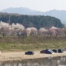 서전별장 네이버블로그