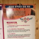 체온테라피