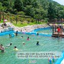 강진 보은산 V랜드 물놀이장 개장(7/23-8/21) 이미지