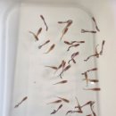 피쉬갤러리 천안점 이미지