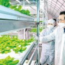 이희철농장 이미지