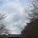 수덕사도식후경 이미지