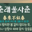 사자성어와 함께 한자 이미지