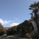 금산중앙초등학교 이미지