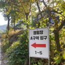 늘푸른캠핑장민박 이미지