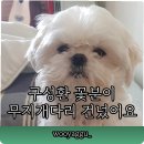 뭉클2 네이버블로그