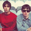 오아시스 이미지