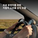 국앤국