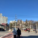 파티마여성병원 이미지