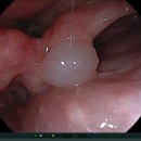 소문난내과의원 이미지