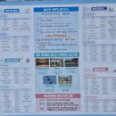 진천군 농다리 | [진천]2026년 '진천 농다리 축제' 후기!(농다리 축제기간 4/4~4/26)