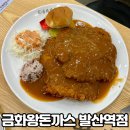 금화왕돈까스 | 발산 가성비 점심 맛집 금화왕돈까스 돈가스 후기