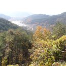 남지시장 이미지