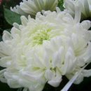 부림한방병원 이미지