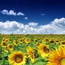 주의동산교회 이미지