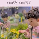 에버랜드 나비정원 아이랑 방문 후기