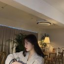 브라운띠어리