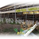 청수축산 이미지