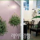꽃향기플라워 이미지