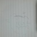 해피폭스