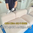 거마로 | 강동구 송파구 소파청소 알파워시 솔직후기 소파셀프청소 폼클리너대신 업체에 맡긴 이유