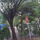 솔바람캠핑장 이미지