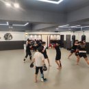 팀타이거.킥복싱.이종격투기 이미지