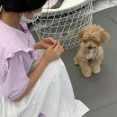 오늘의 개스트 이미지