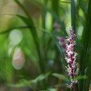 길상초등학교 이미지