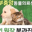 안산동물병원 이미지