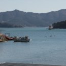 남산공원 오토캠핑장 이미지