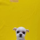 상일축산 이미지