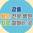 포남2동 | 강릉 탈모 전문 병원 두피 탈모관리 잘하는 곳 추천 List