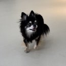 오산유치원 이미지